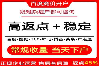 案例对比：SEO与SEM优化效果深度分析